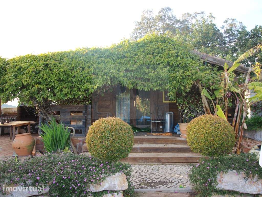 Moradia Independente com Piscina, Anexo e Terreno de 1.210 m² perto... - Grande imagem: 4/20