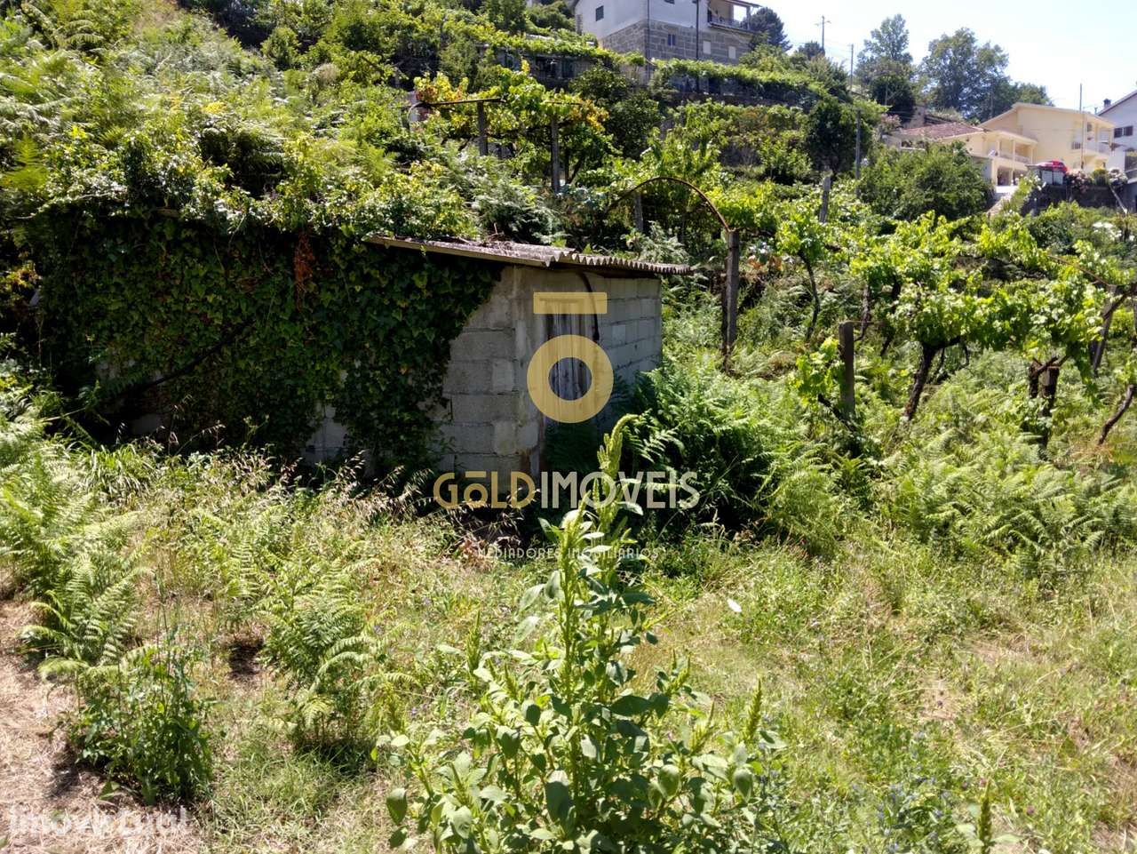 Terreno Rústico - Grande imagem: 3/9