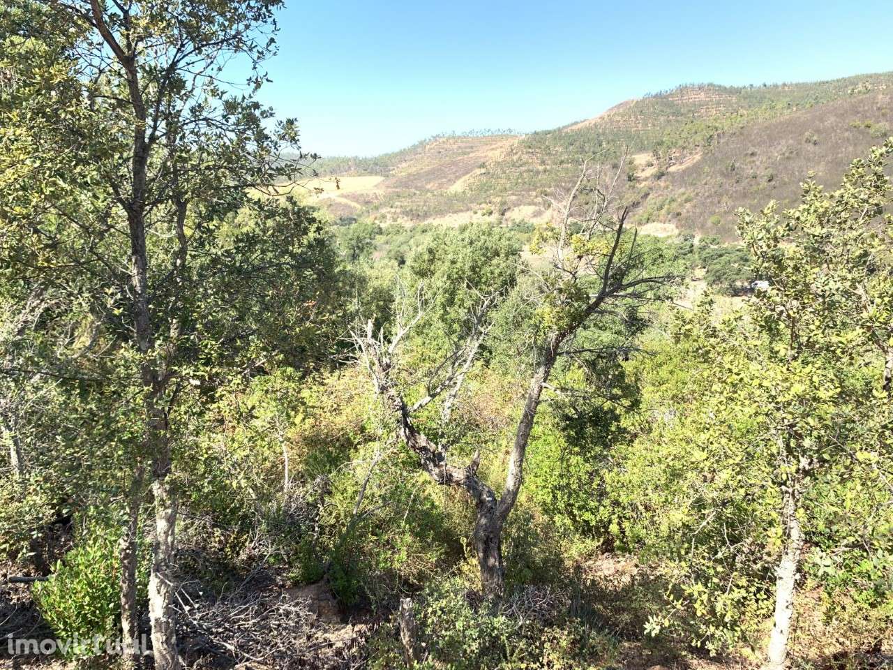 Quinta Monte da Ribeira - Grande imagem: 3/11