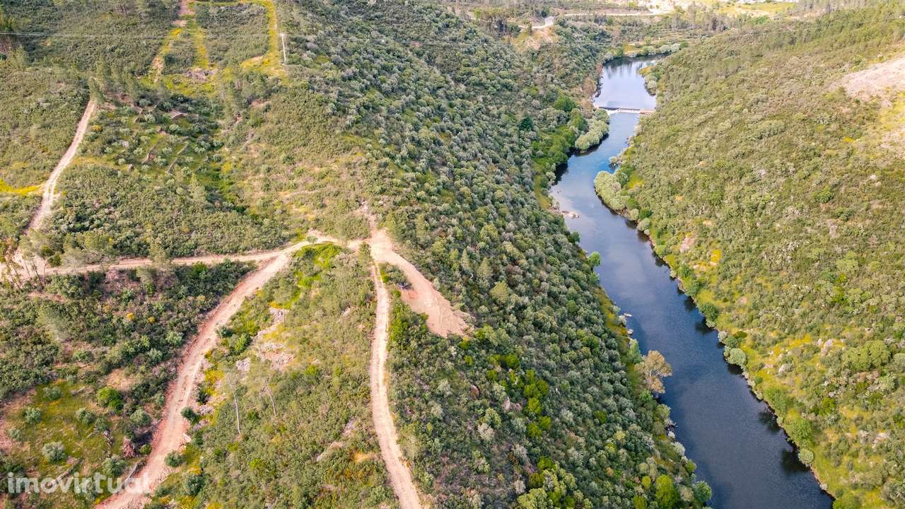 Terreno Rústico  Venda em Sarzedas,Castelo Branco - Grande imagem: 2/12