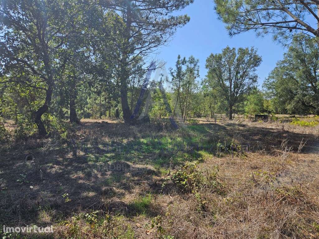 Excelente oportunidade de investimento! - Grande imagem: 2/7