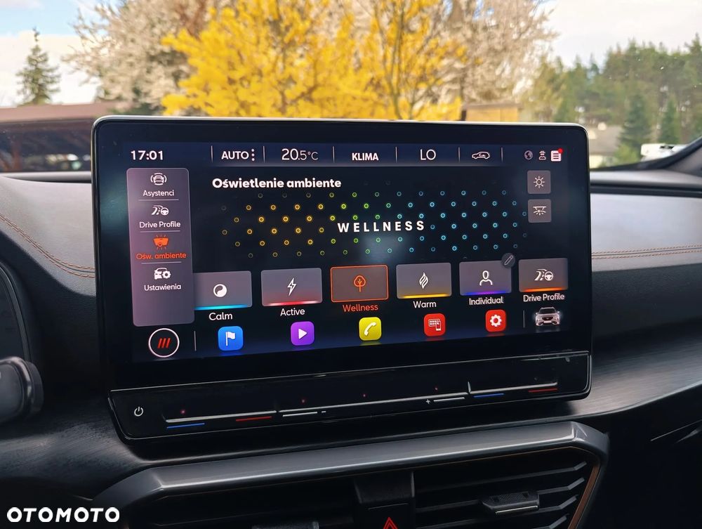 Cupra Formentor VZ 2.0 TSI DSG - 10