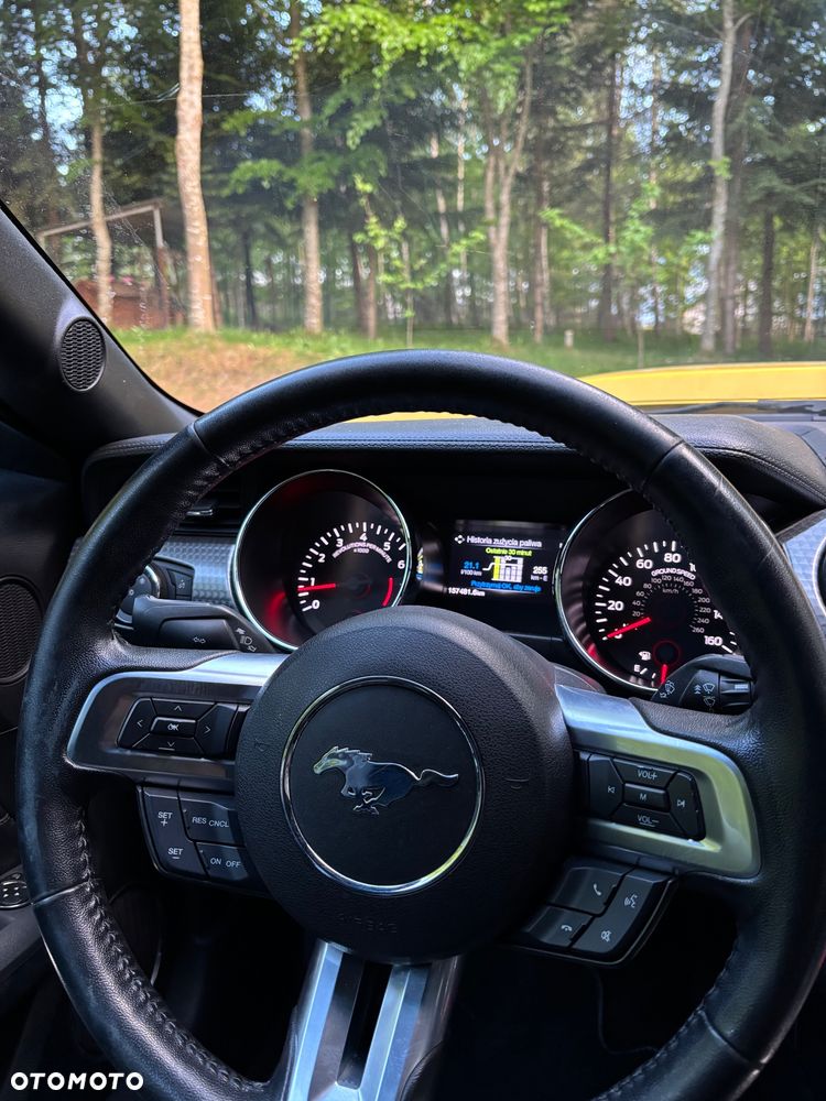 Ford Mustang - 17