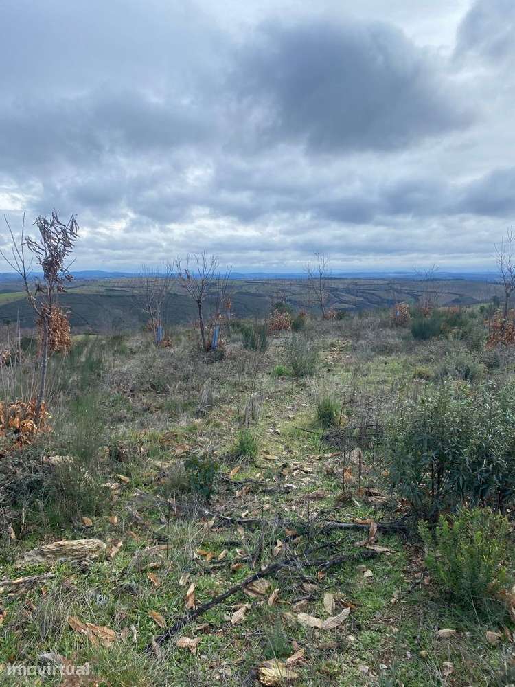 Terreno para venda - Bragança - Grande imagem: 3/9