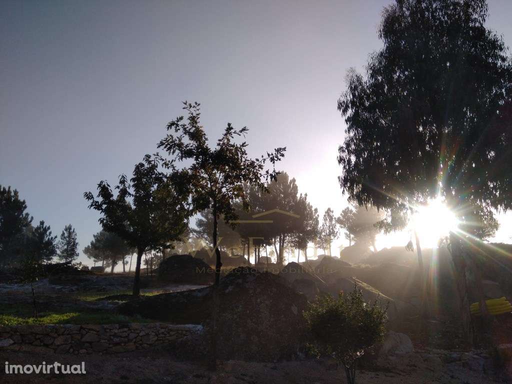 Quinta de 5ha no Coração do Douro - Riodades - Grande imagem: 2/12