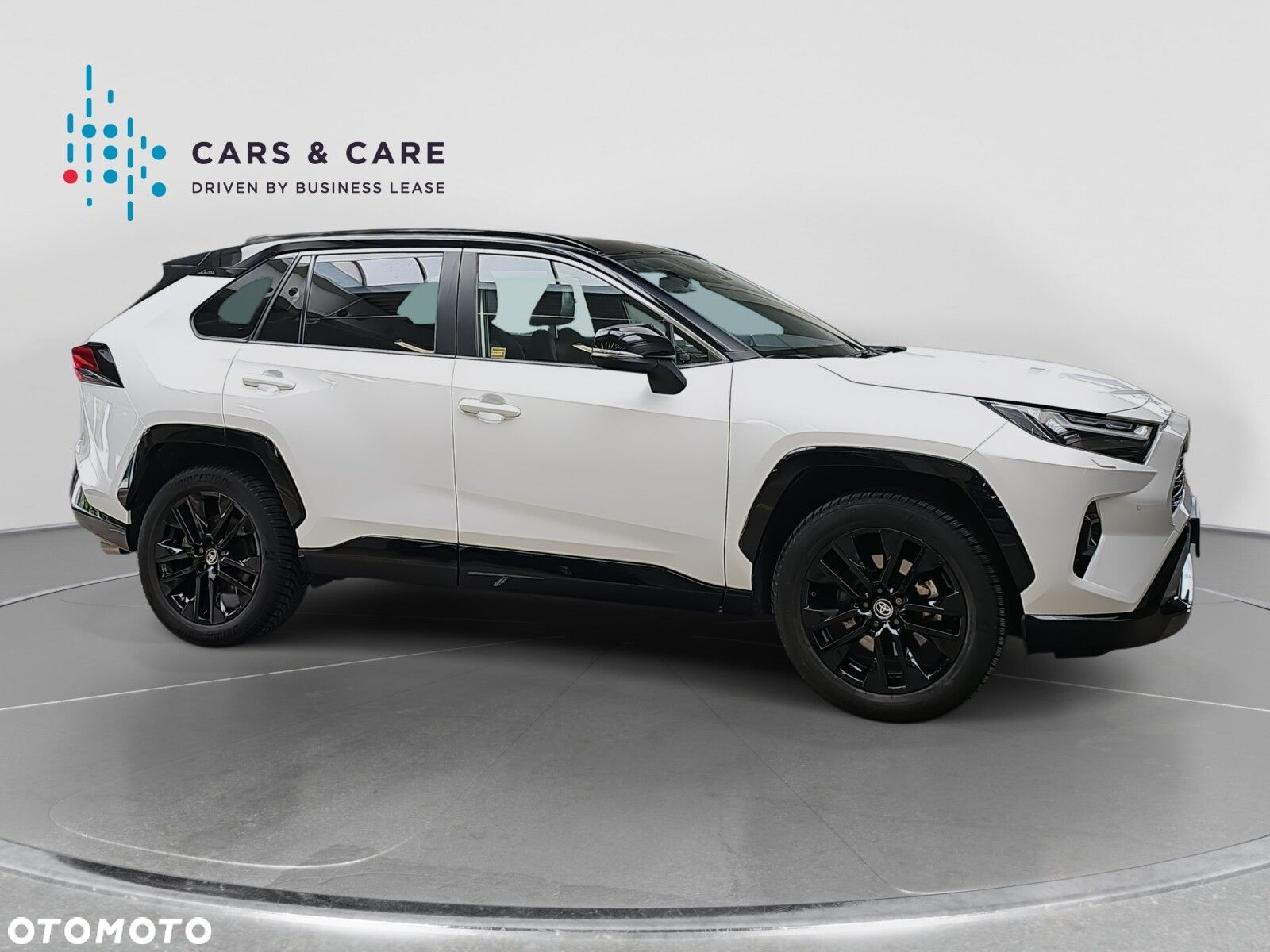 Toyota RAV4 2.5 Hybrid Selection 4x4 - 28
