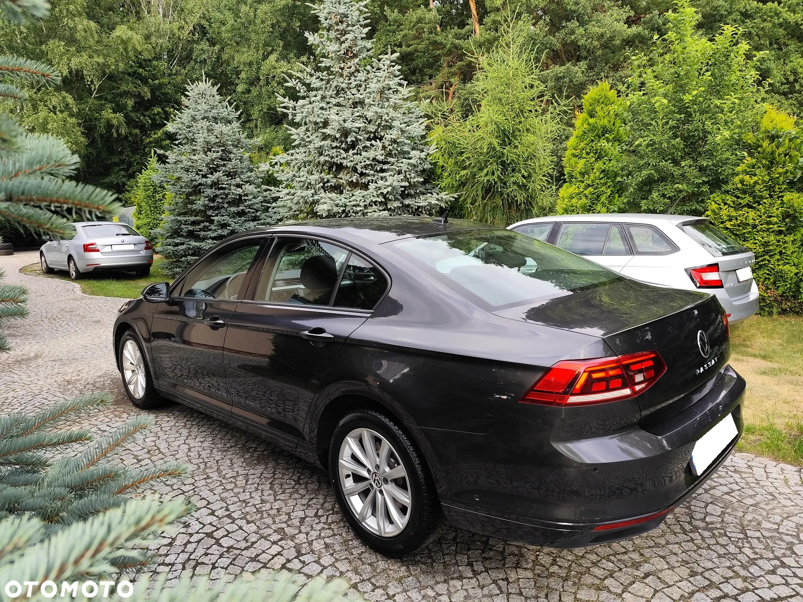 Volkswagen Passat - 12