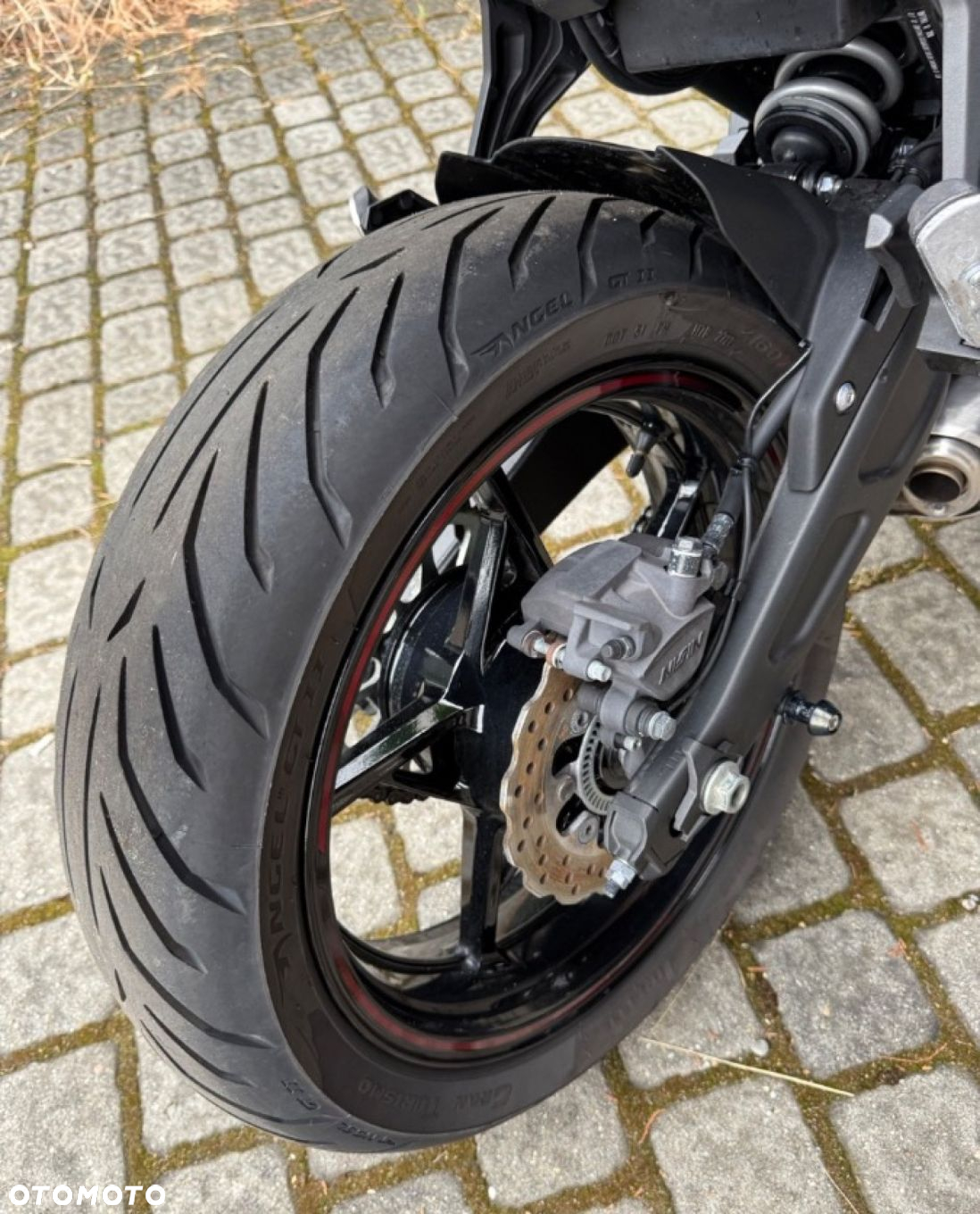 Kawasaki Ninja - 14