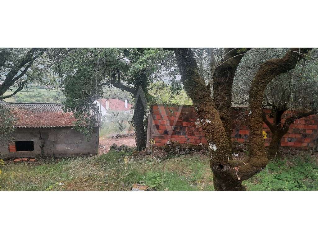 Quintinha _ Serra de Aire e Candeeiros _ Alvados - Grande imagem: 3/7