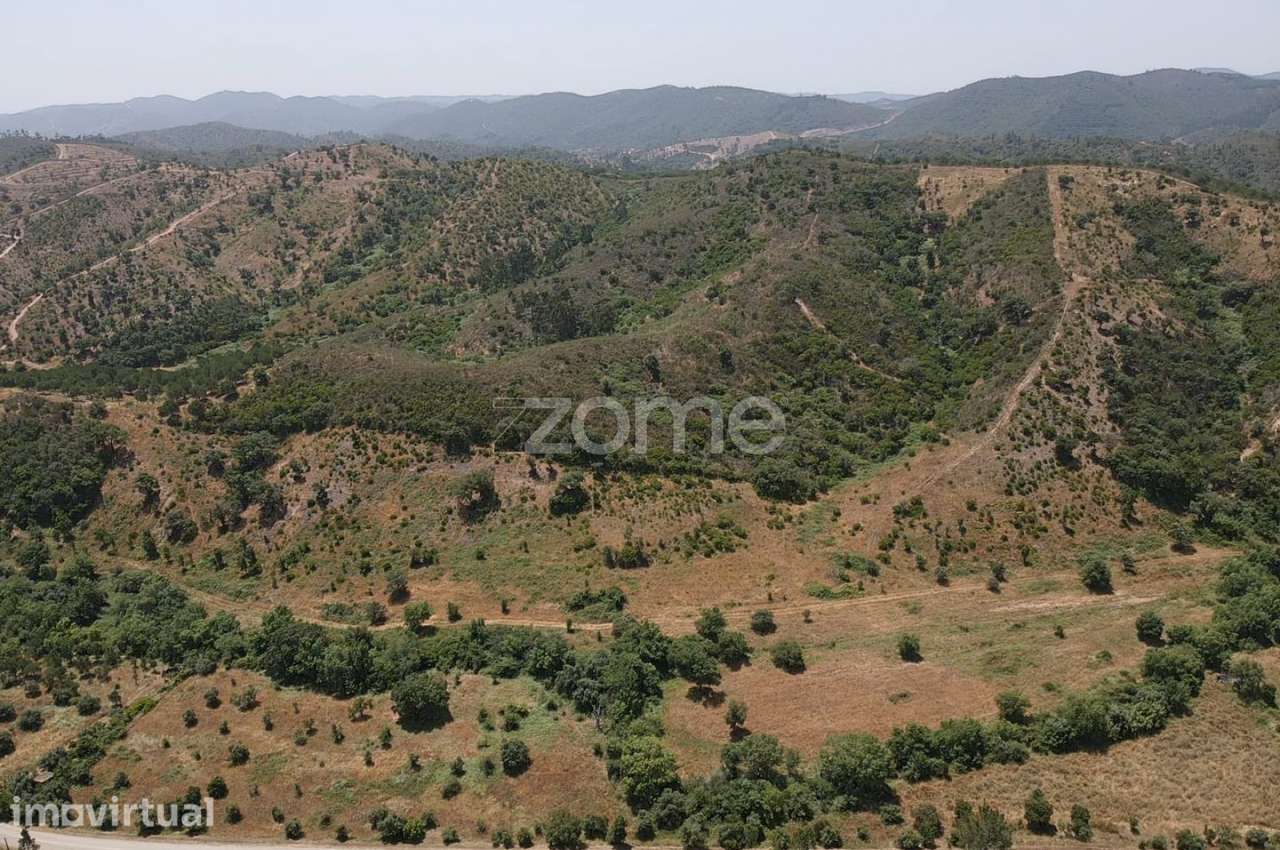 Terreno Rústico em Vale Bezerra, São Marcos da Serra c/ 6.2 hectare... - Grande imagem: 4/16