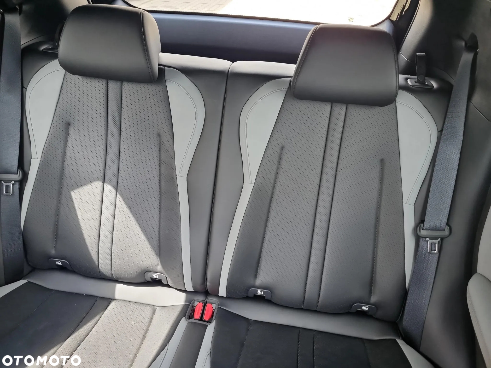 BYD Dolphin Surf - 16