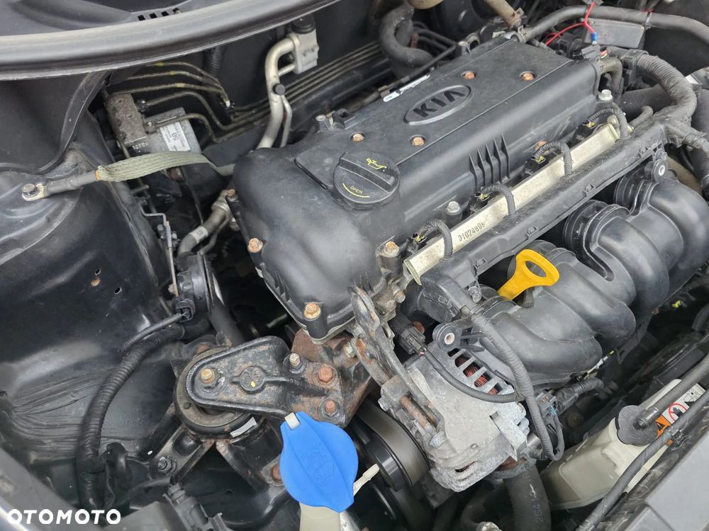 Kia Rio 1.4 Dream Team Edition - 15