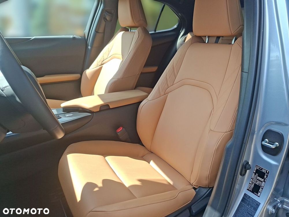 Lexus UX 300h F Sport Design - 10