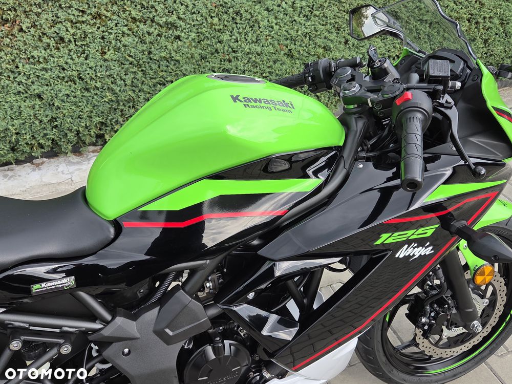 Kawasaki Ninja - 20