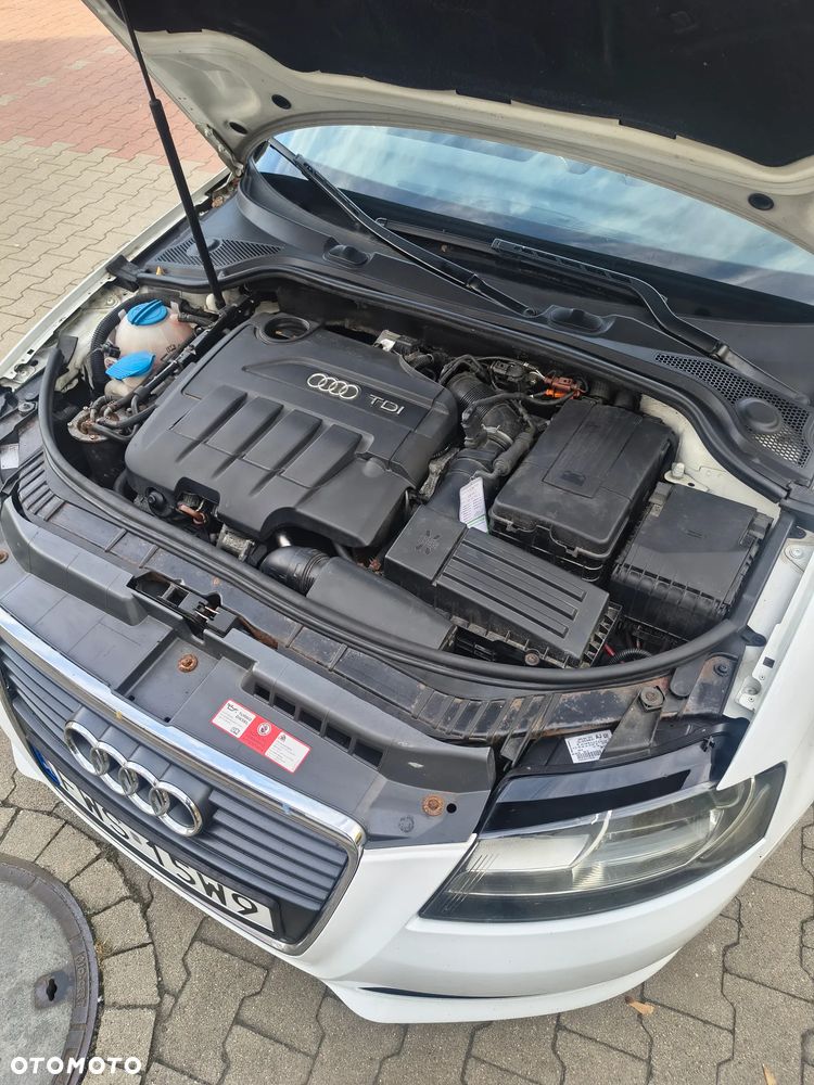 Audi A3 Cabrio 2.0 TDI DPF Attraction - 16