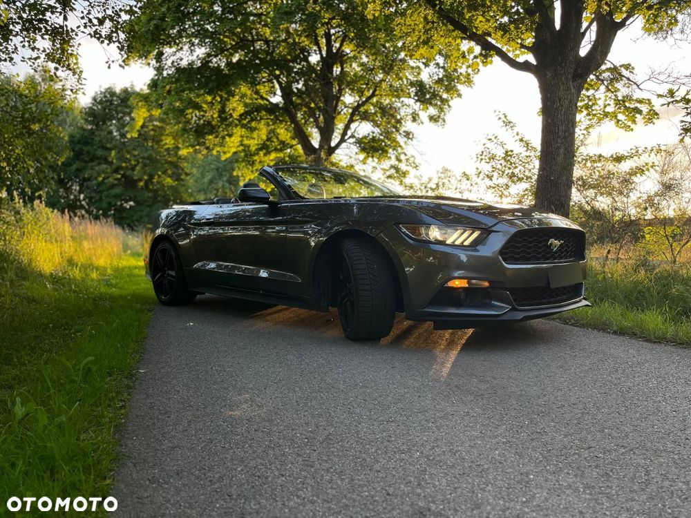 Ford Mustang - 3