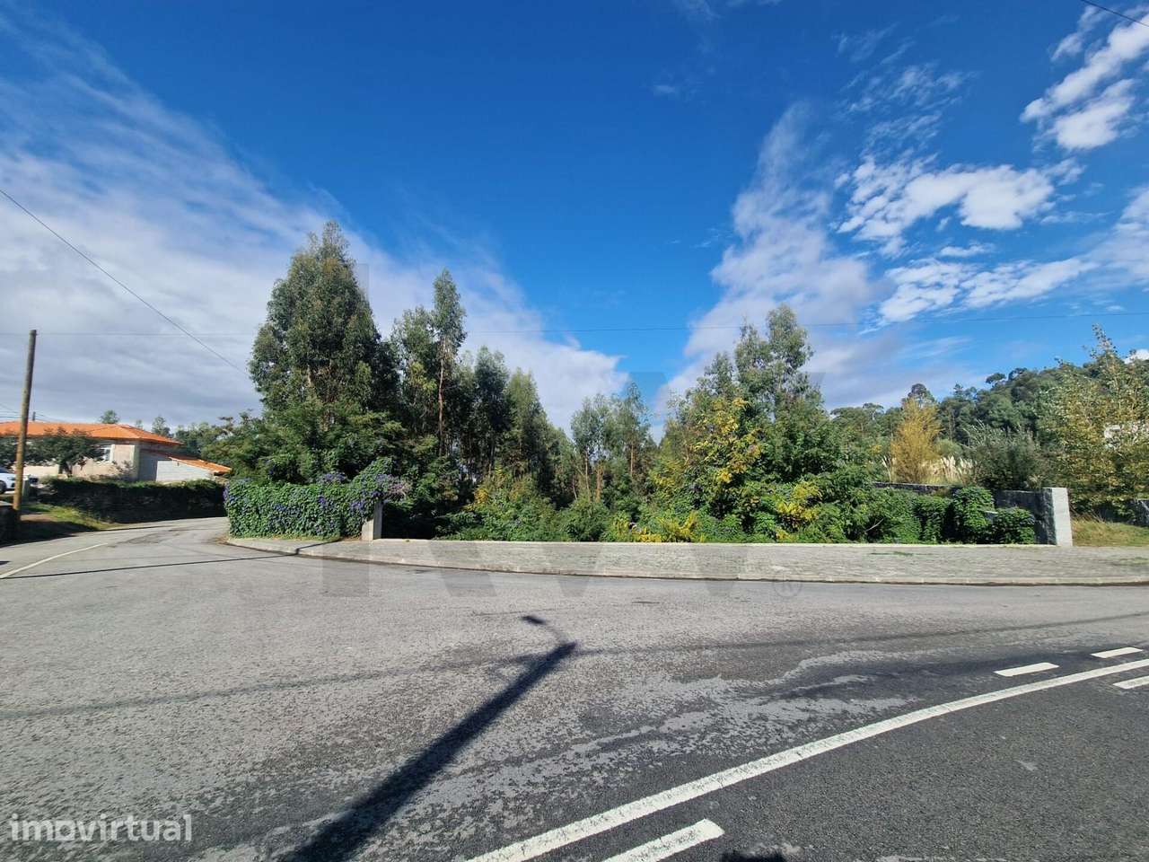 Terreno de 9.100 m2 em Romariz – Excelente Oportunidade de Investiment