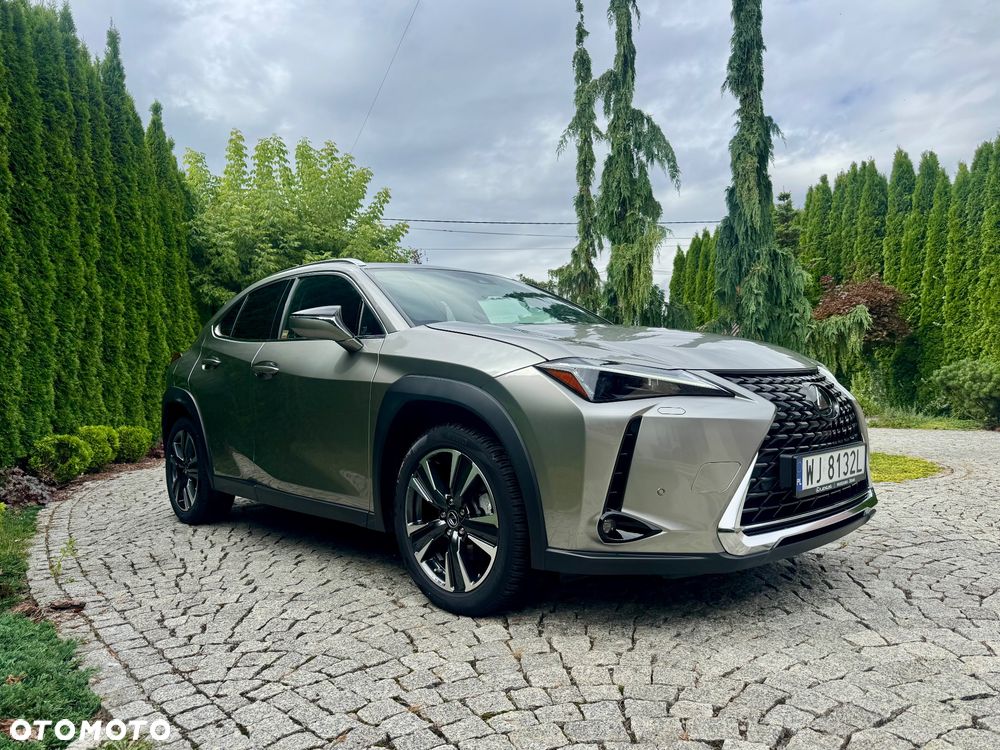 Lexus UX 250h F Sport 2WD - 11