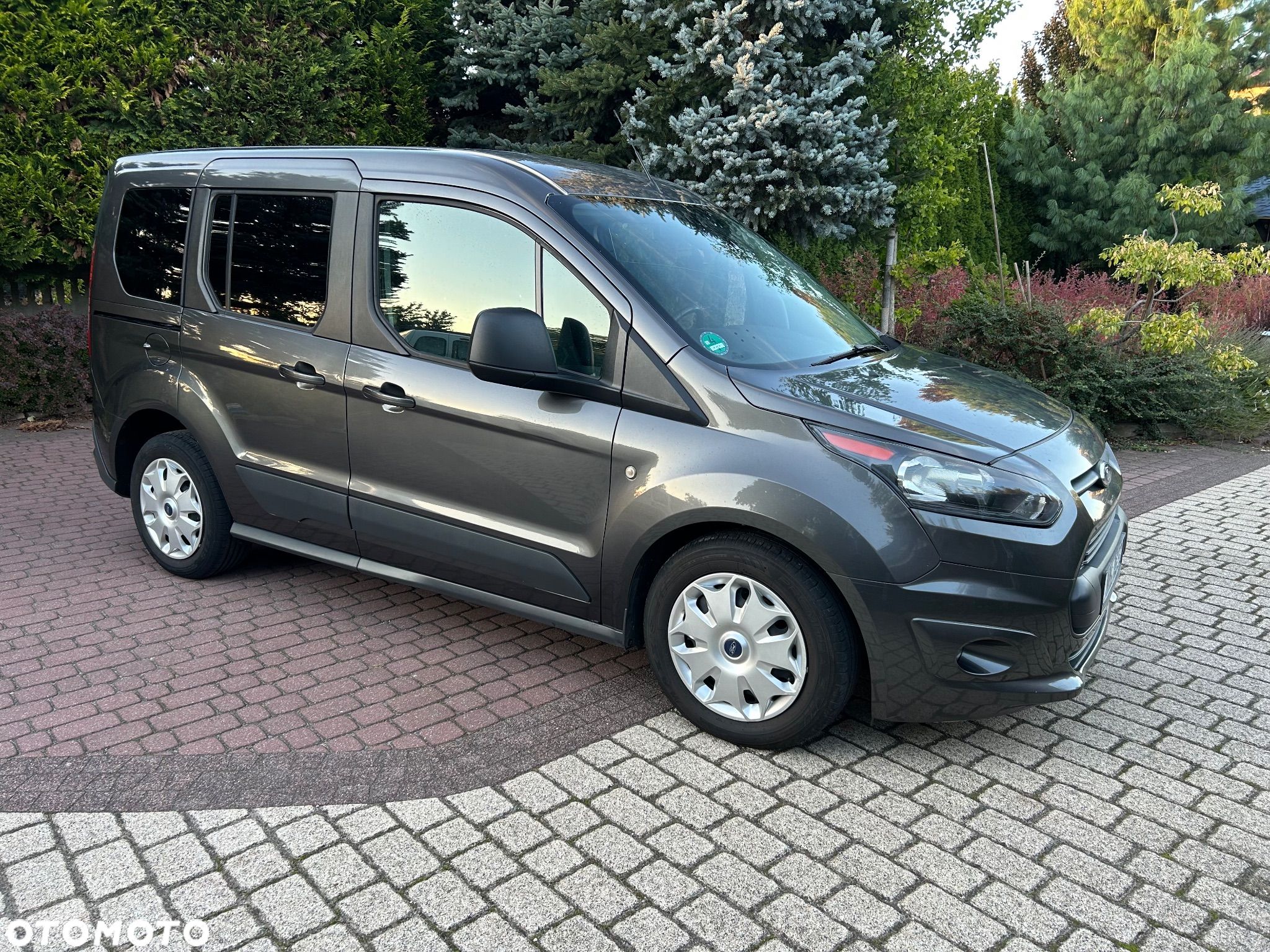 Ford Tourneo Connect - 1