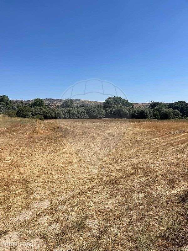 Terreno  para venda - Grande imagem: 4/4