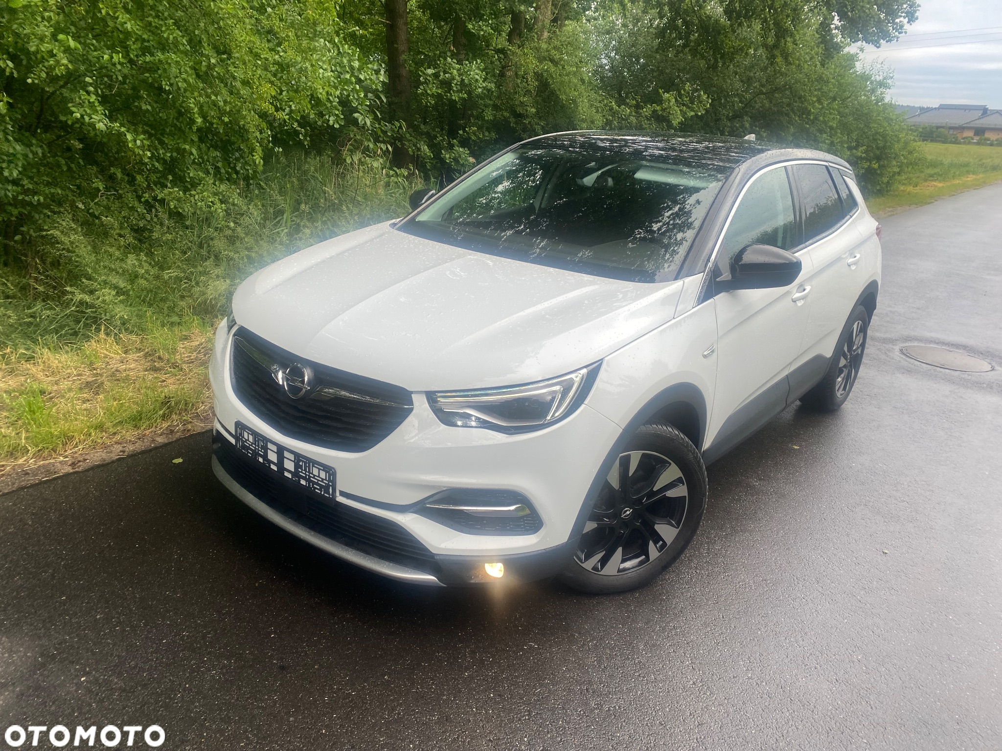 Opel Grandland X 2.0 D Start/Stop Automatik Design Line - 3