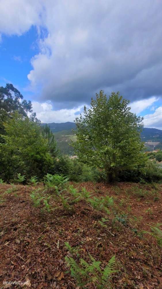 Terreno - Parada de Bouro - Grande imagem: 3/8