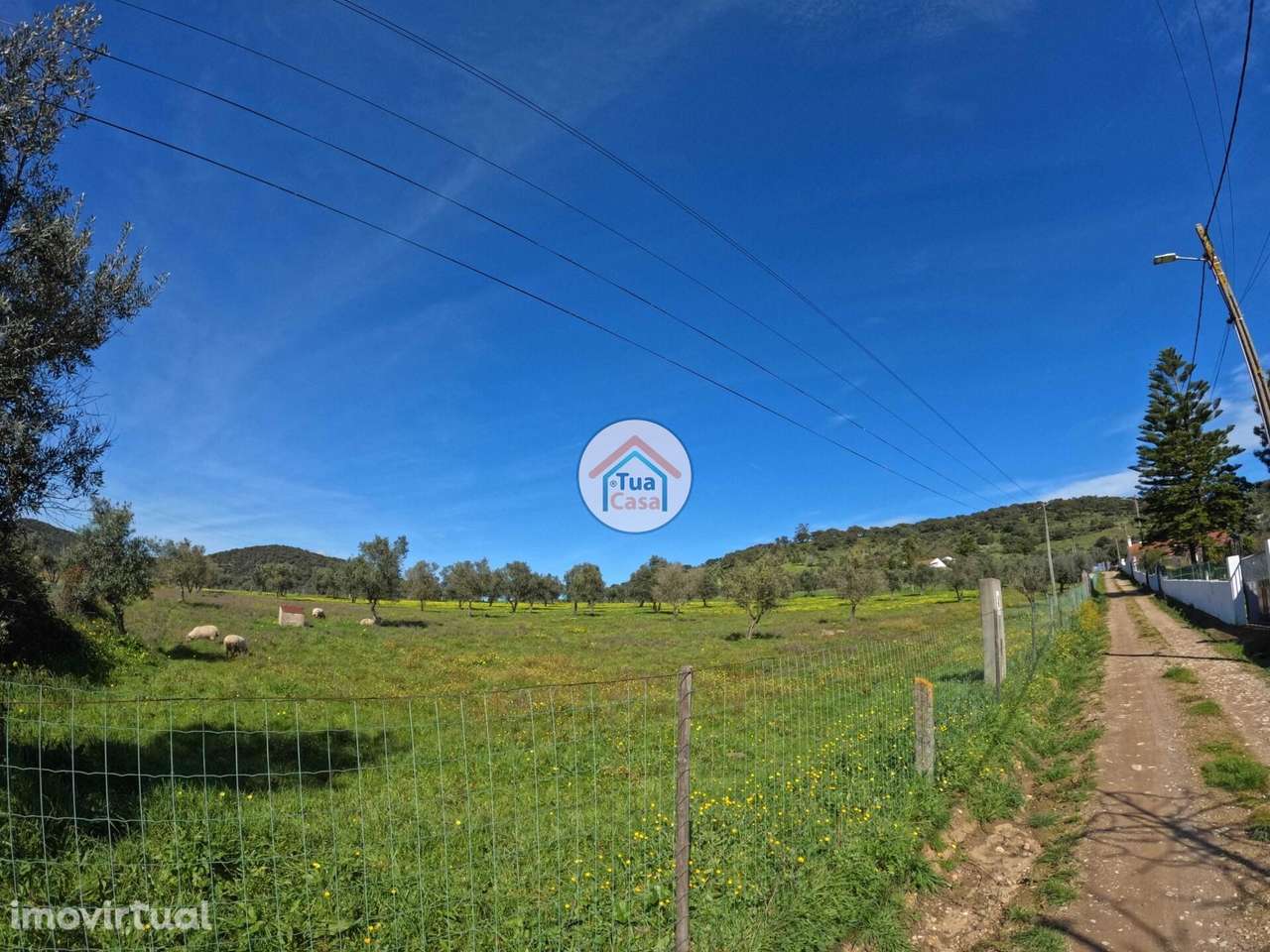 Terreno Urbanizável com 9.750 m2, sendo 3.525m2 Urbano em Santiago do - Grande imagem: 4/15