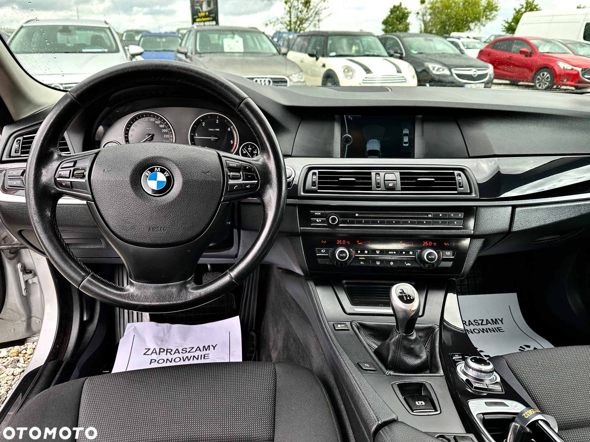 BMW Seria 5 520d - 13