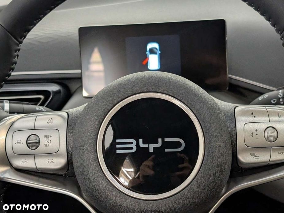 BYD Dolphin Surf - 11