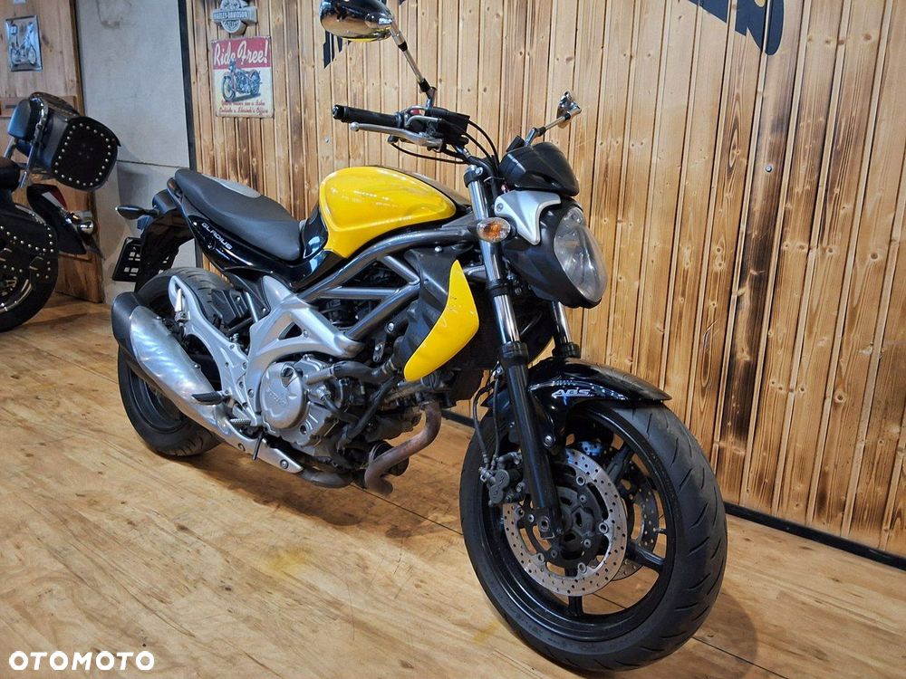Suzuki Gladius - 14