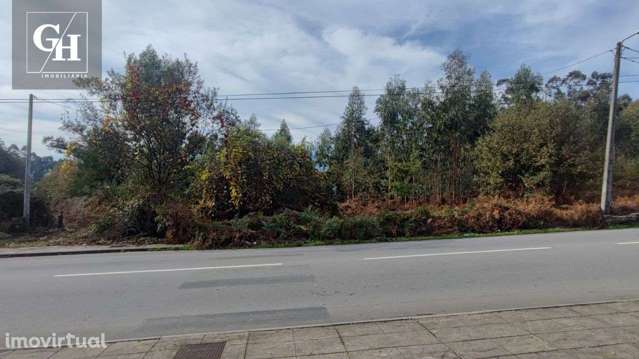 Terreno em Antas – 20.306 m² | Localização Estratégica! - Grande imagem: 3/13