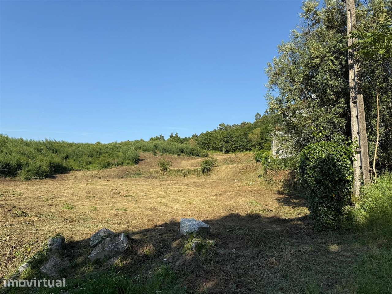 Terreno com 3 hectares em Ribeiros - Grande imagem: 2/2
