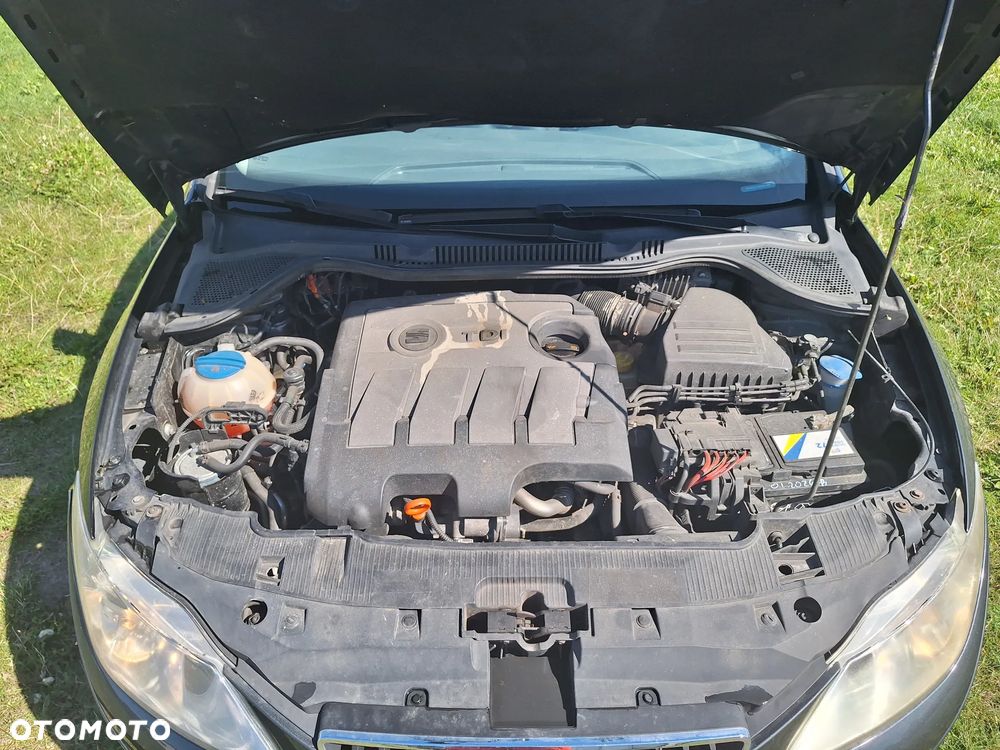 Seat Ibiza - 20