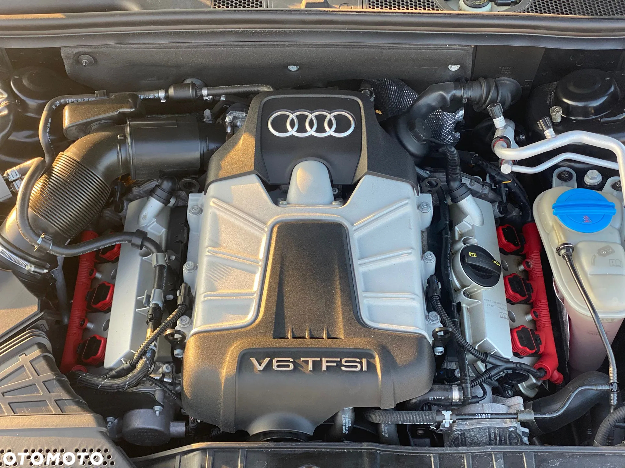 Audi S5 3.0 TFSI Quattro S tronic - 12