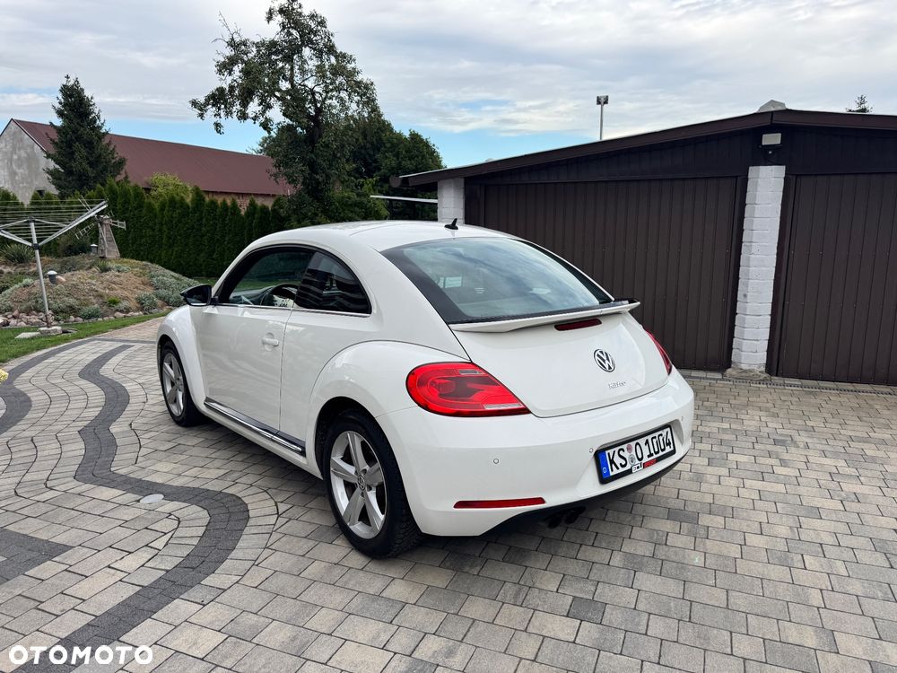 Volkswagen Beetle - 3