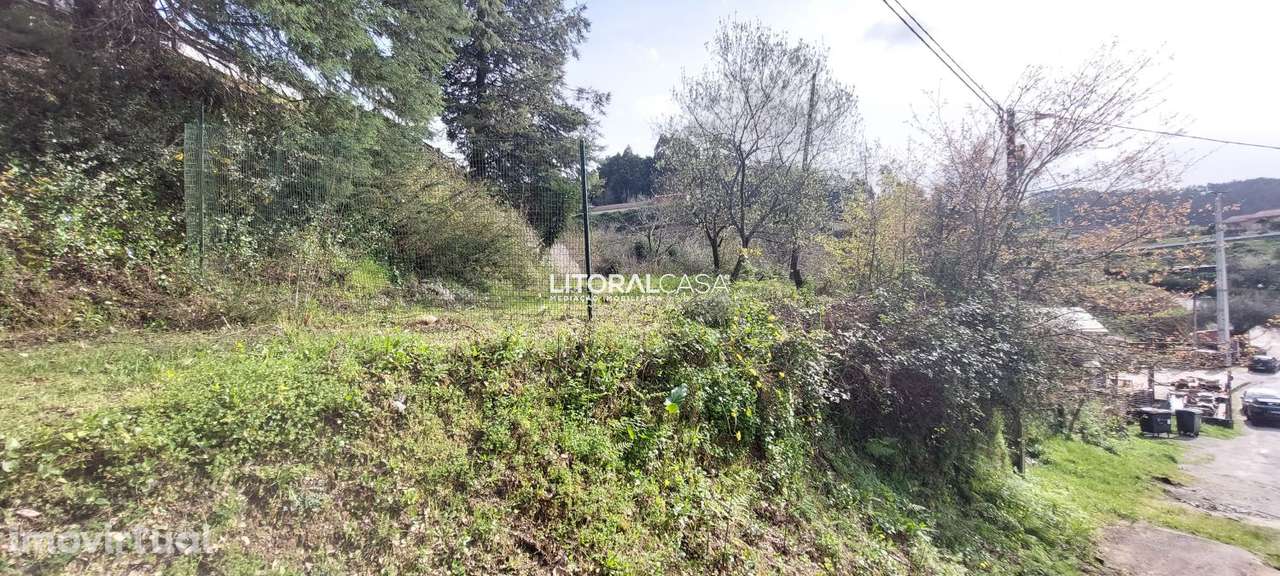 Terreno com ruína | Paradela - Grande imagem: 4/21