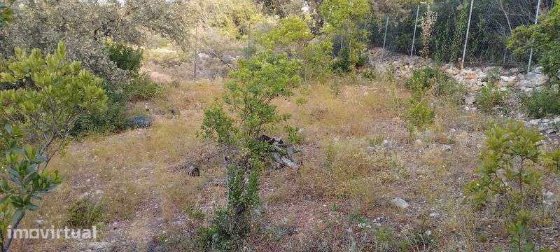 Terreno  em Bordeira - Grande imagem: 4/6
