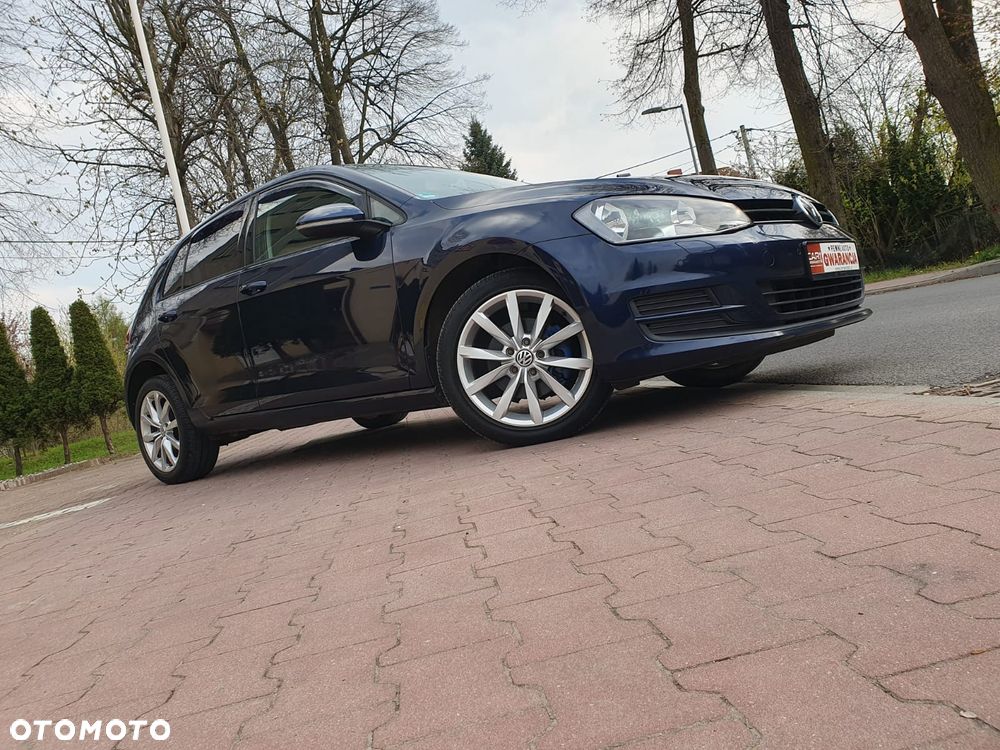 Volkswagen Golf - 36