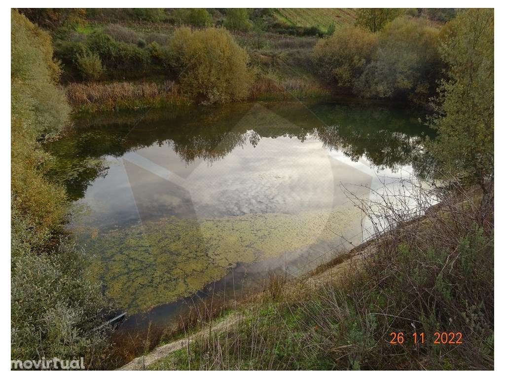 QUINTA AGRICOLA - MÊDA - Grande imagem: 2/46