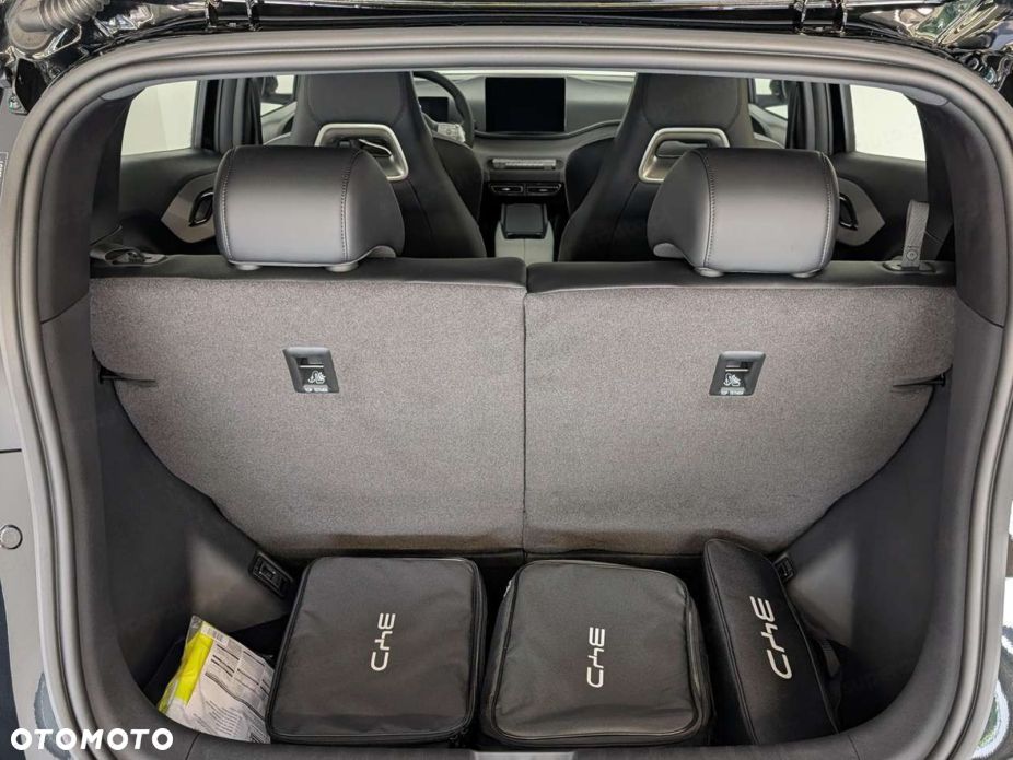 BYD Dolphin Surf - 19