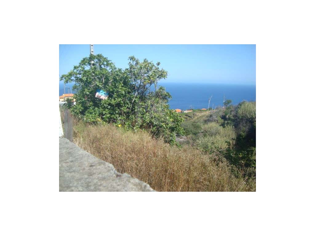 Terreno em Gaula - Grande imagem: 2/6