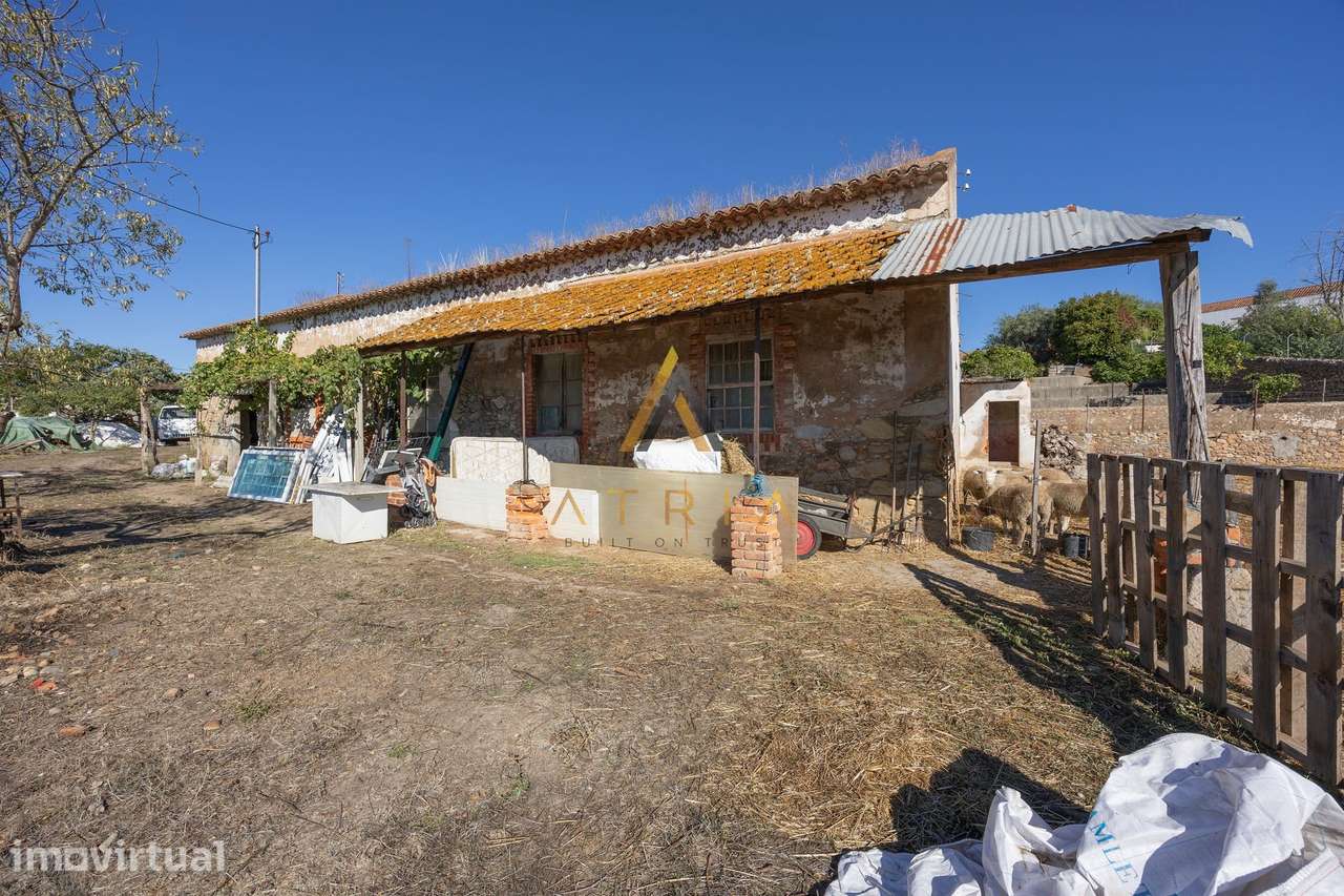 Lagar || Montalvo, Constância - Grande imagem: 2/30