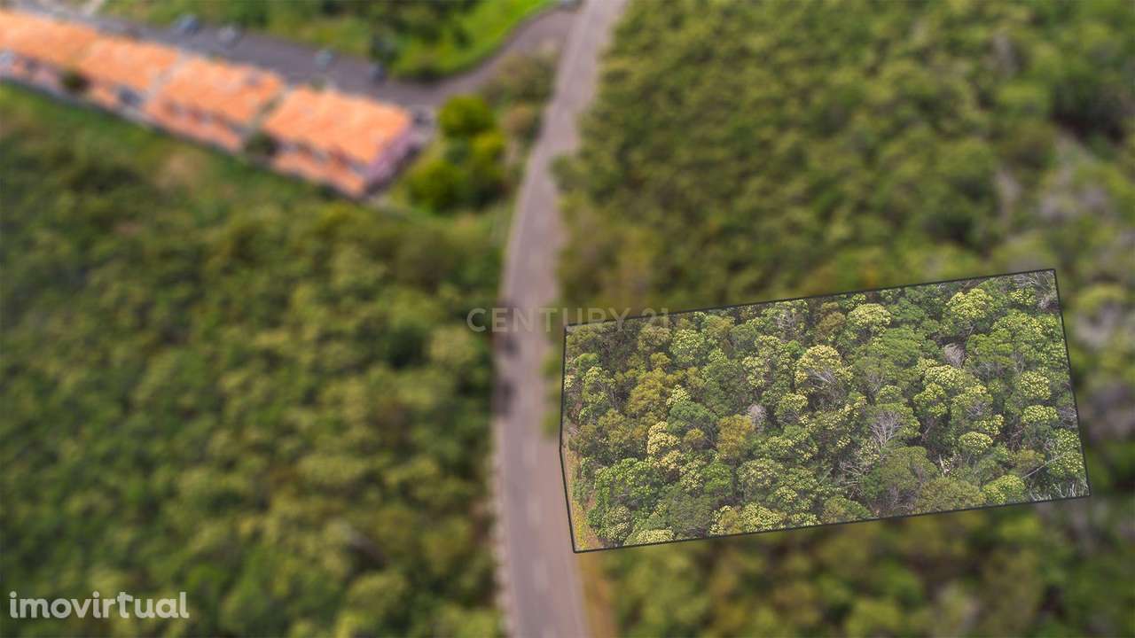 Terreno com 854m² e Potencial de Construção até 300m² - Grande imagem: 2/7