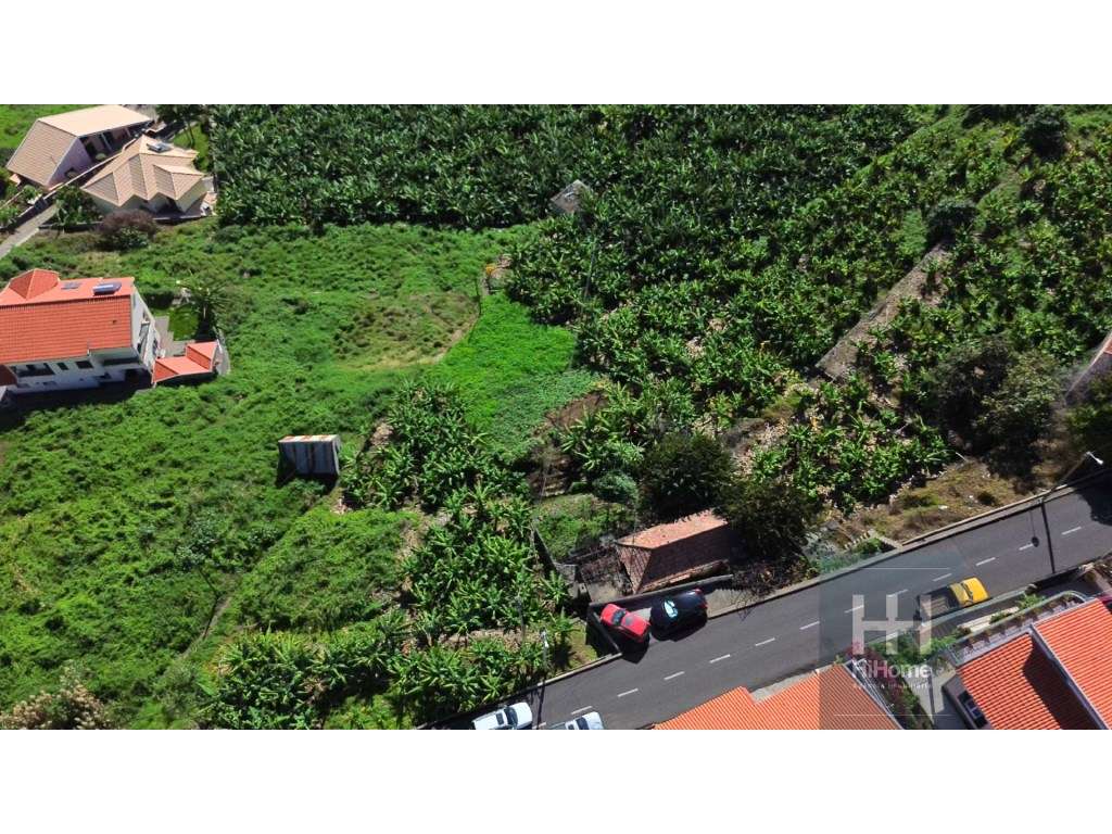 Terreno para construção de moradias com vista mar na Ribeira Brava - Grande imagem: 5/9