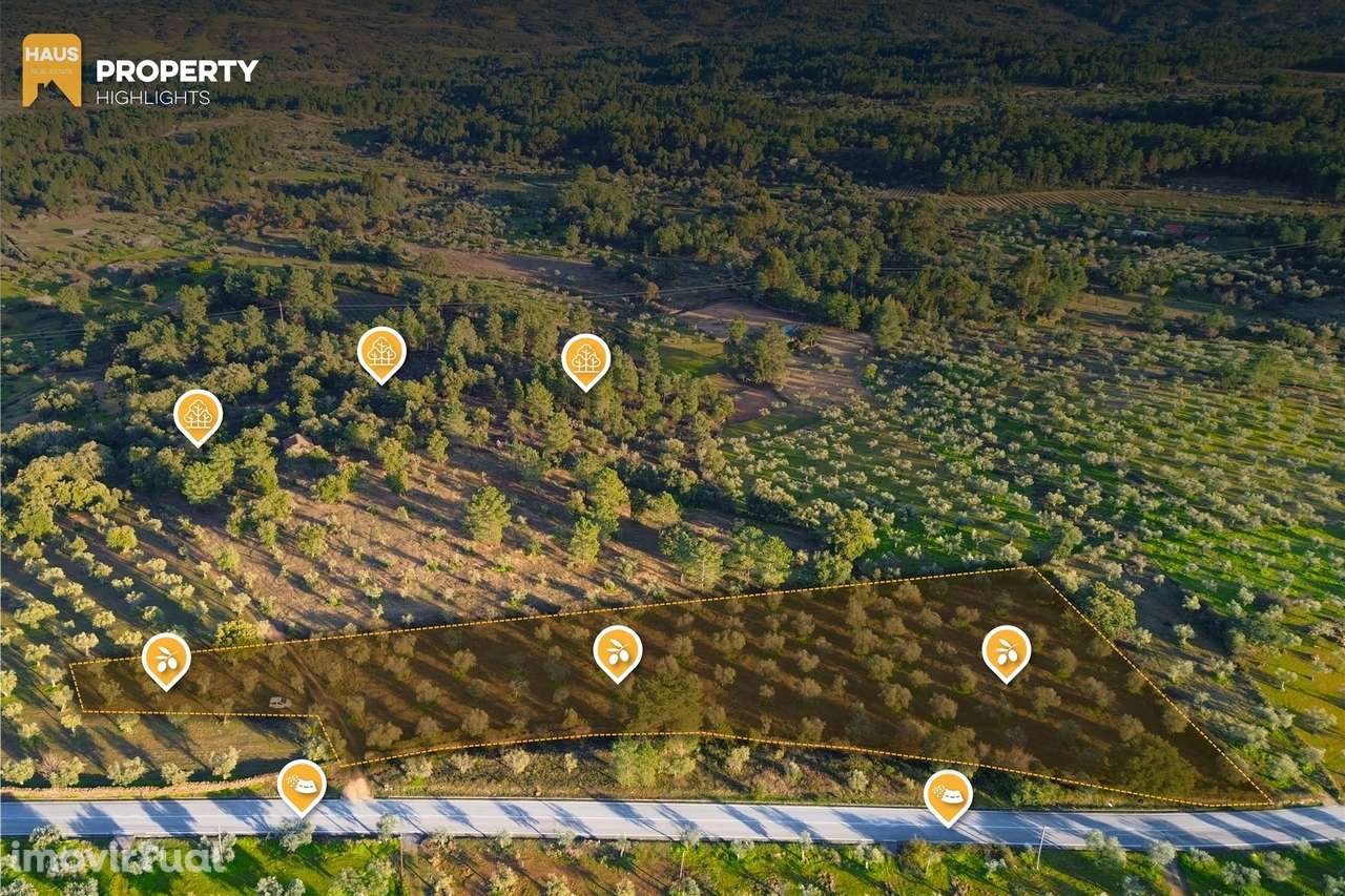 Terreno Plano 6.700m² c/ Vistas Panorâmicas – Salgueiro do Campo - Grande imagem: 4/28