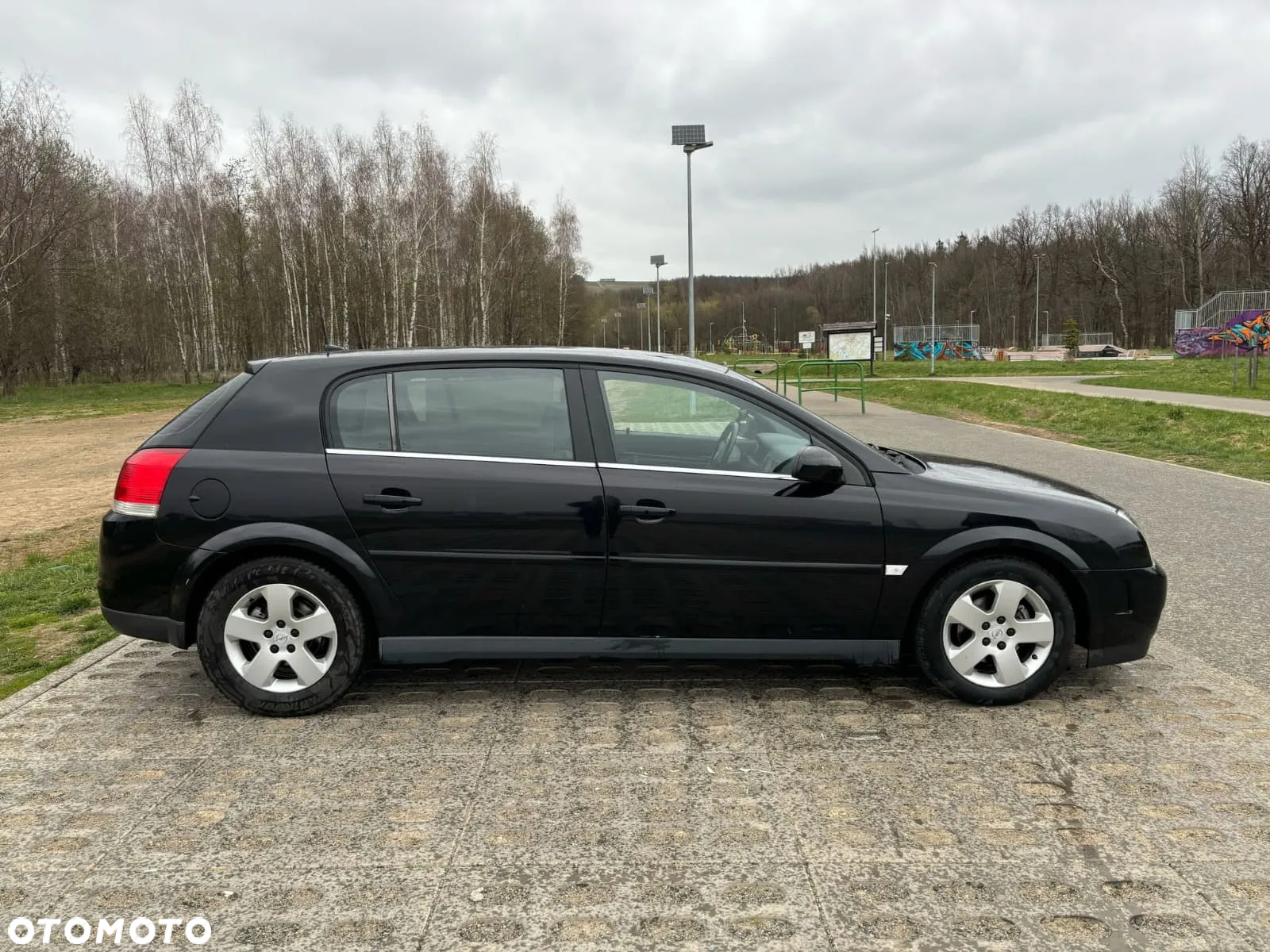 Opel Signum 2.2 Business Executive - 6
