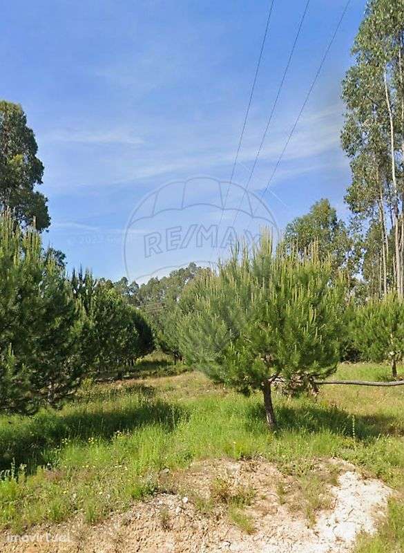 Terreno  para venda - Grande imagem: 2/9