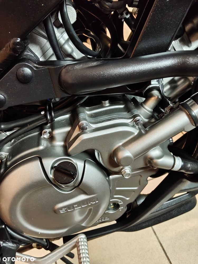 Suzuki DL - 2
