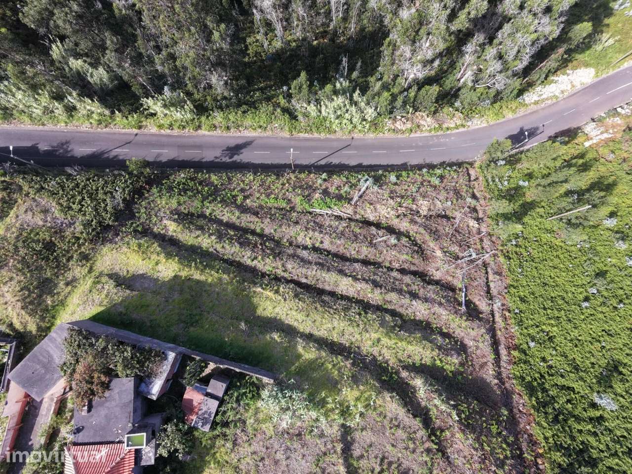 Terreno de 2.059 m2 com Acesso a Estrada e Viabilidade Construtiva – P - Grande imagem: 4/15