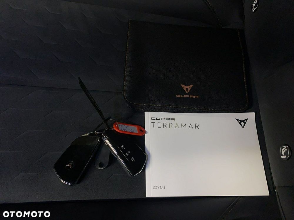 Cupra Terramar - 41